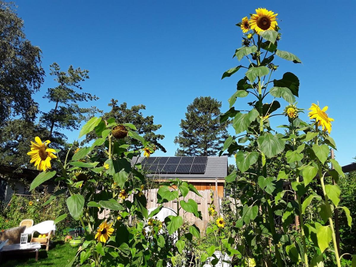 Ecolodge De Parel Schoorl Exterior foto
